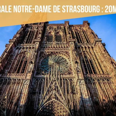 Apartment T2 Calme Avec Clim, Parking Facile, Tram A 5 Minutes *